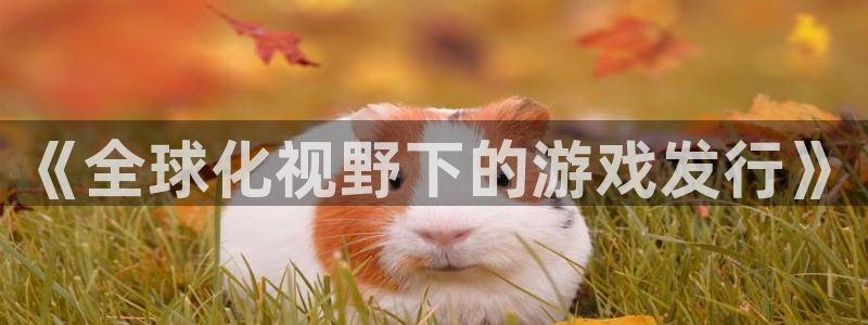 im电竞装饰：《全球化视野下的游戏发行》