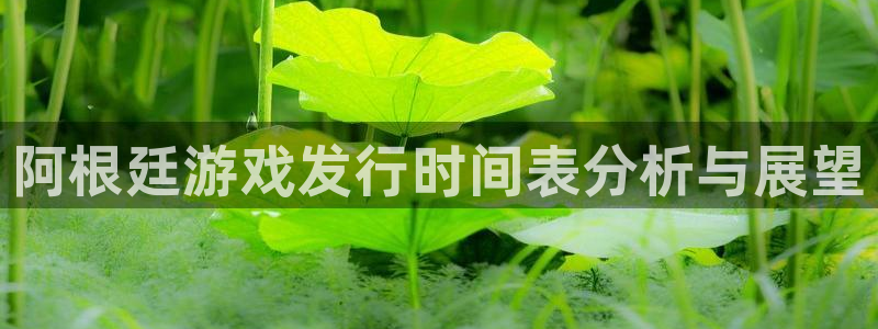 深圳im电竞电商：阿根廷游戏发行时间表分析与展望