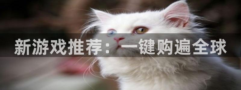 im电竞子图片：新游戏推荐：一键购遍全球