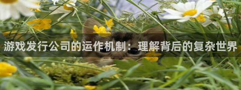 im电竞官网解绑银行卡