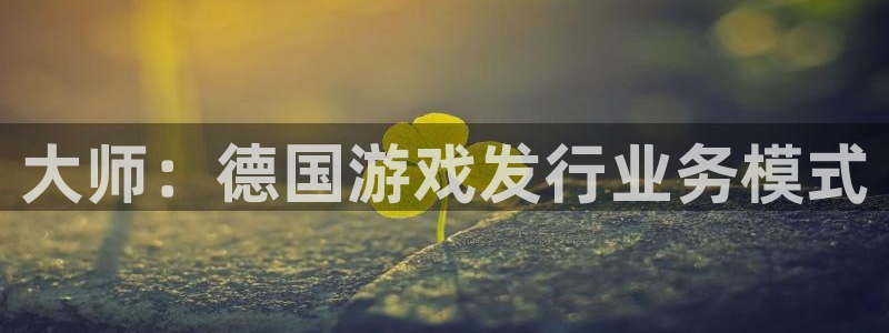 im电竞技术有限公司招聘：大师：德国游戏发行业务模式