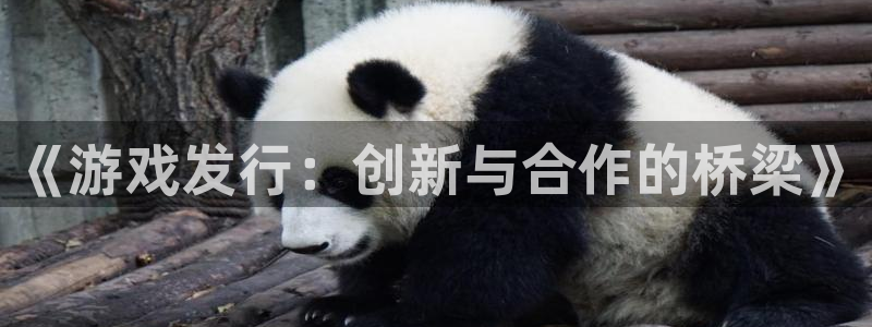 im电竞官网注册方法有哪些呢：《游戏发行：创新与合作的桥梁》