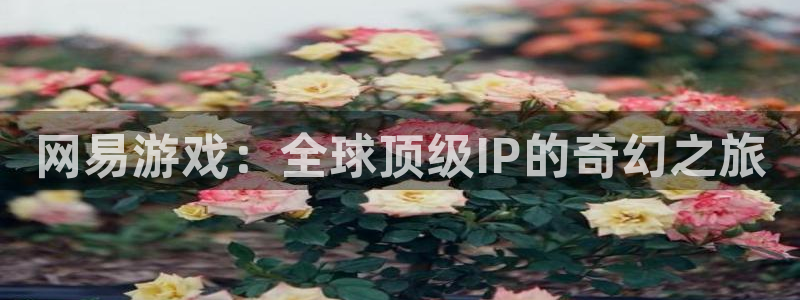 陕西省西安市im电竞子文化创意：网易游戏：全球顶级IP的奇幻之旅