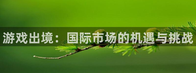 im电竞的所有小说：游戏出境：国际市场的机遇与挑战