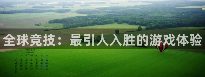 im电竞智邦(北京)品牌策划有限公司：全球竞技：最引人入胜的游戏体验