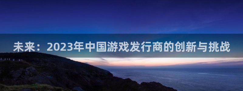 im电竞官网官网注册账号怎么注册：未来：2023年中国游戏发行商的创新与挑战