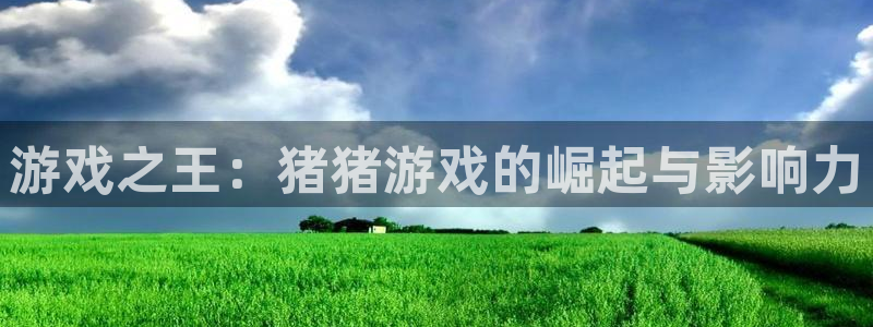 im电竞官网注册平台怎么注册的：游戏之王：猪猪游戏的崛起与影响力