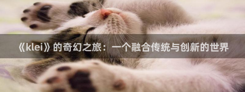 im电竞官网价 5O6917 im电竞