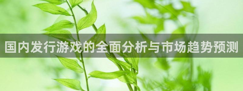 im电竞官网注册地址查询官网：国内发行游戏的全面分析与市场趋势预测