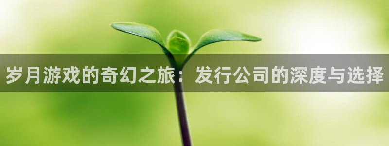 im电竞官网注册登录官网：岁月游戏的奇幻之旅：发行公司的深度与选择