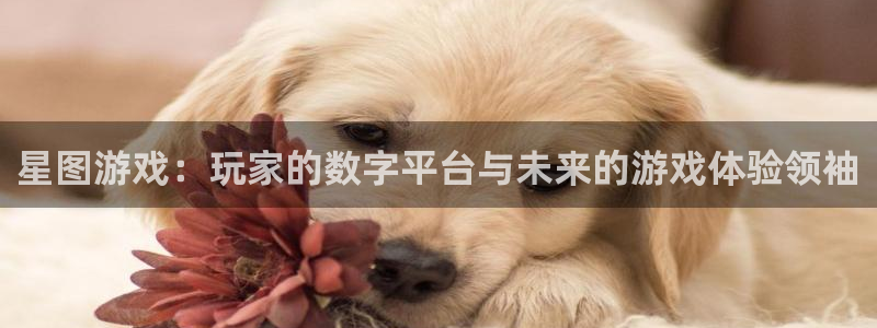 im电竞官网登录注册账号安全吗可靠吗：星图游戏：玩家的数字平台与未来的游戏体验领袖
