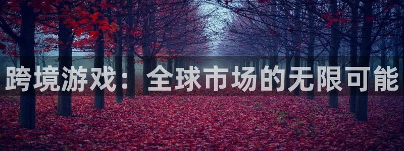 im电竞的寓意：跨境游戏：全球市场的无限可能