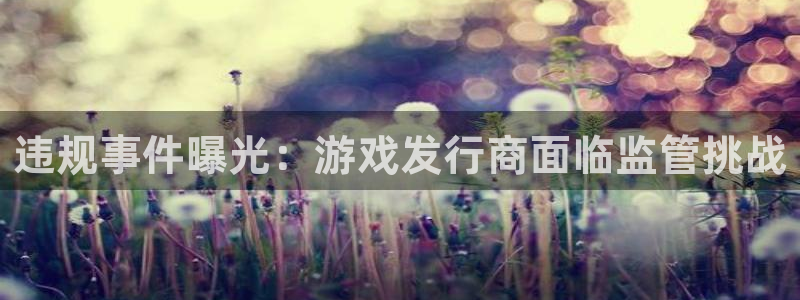 im电竞官网平台是骗局吗