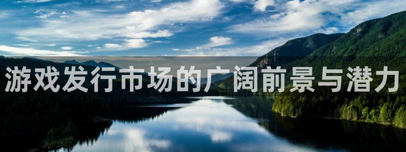 im电竞官网官网注册账号怎么注册：游戏发行市场的广阔前景与潜力