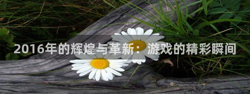 长沙im电竞子电子商务有限公司